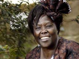 In Praise of Wangari Maathai In Praise of Wangari Maathai