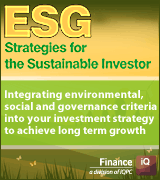 ESG Strategies for the Sustainable Investor