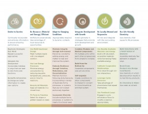 ETHICAL BIOMIMICRY FINANCE PRINCIPLES